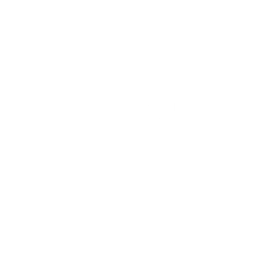 shimmylaroux.com